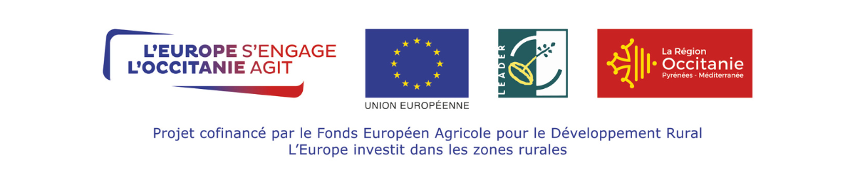 L'europe s'engage, L'Occitanie agit
